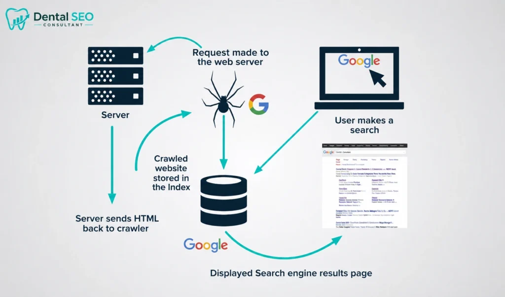 How Google Ranks Websites: Crawl, Index, Rank